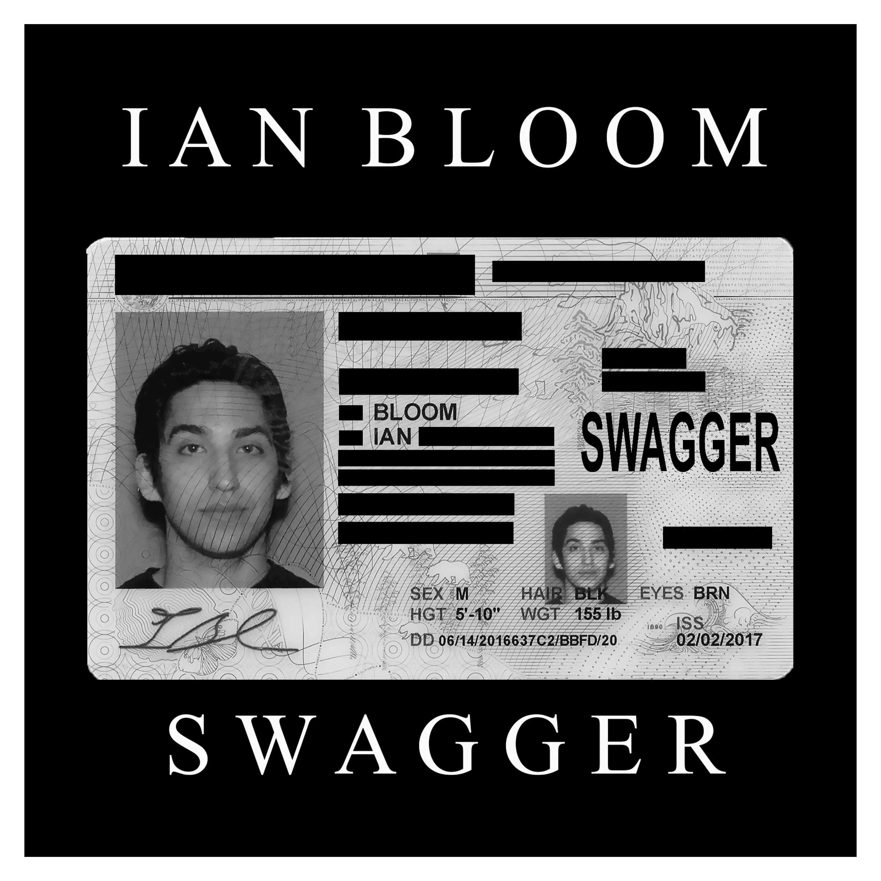 Swagger (CD)